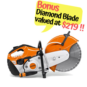 STIHL-TS420-bonus-image-300x300