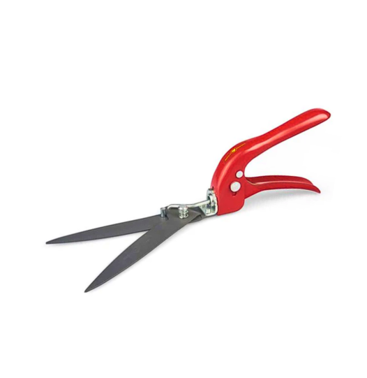 Untitled-design-9-526x541