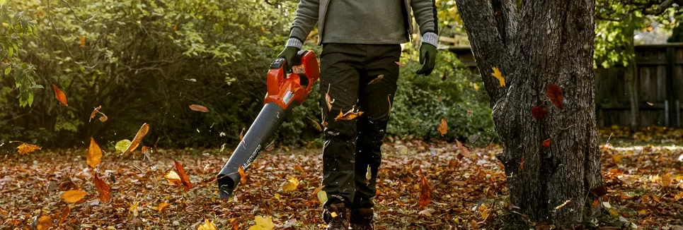 du-281589-e1755485358820