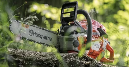 go-372890-e1755485508704