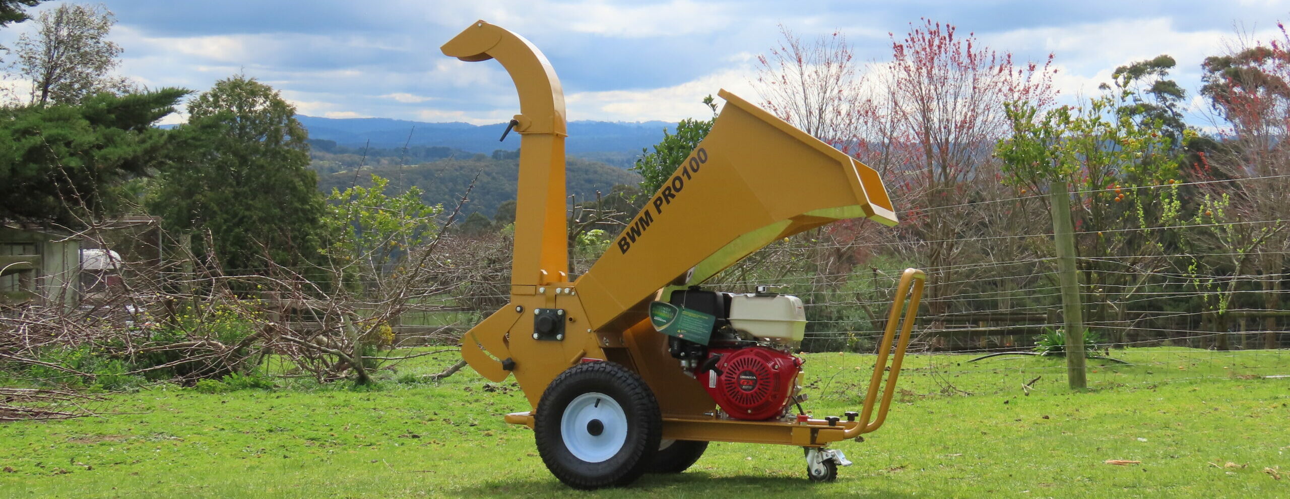 IMG_1441-scaled-e1758082992839