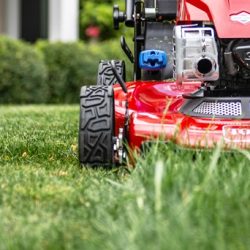 ftr-lawn-vitamins-21462-21464-21465-21472-recycler-dsc9160-1600x1369-1-aspect-ratio-250-250