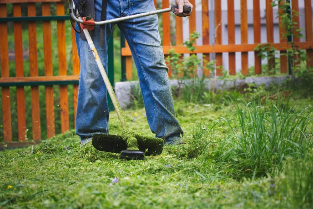 Difference Between a Grass Trimmer and a Brushcutter