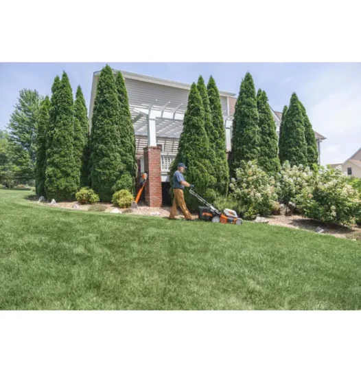 wa320111430_2-526x541