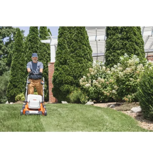 wa320111430_3-526x541