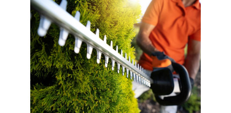 Hedge Trimmer
