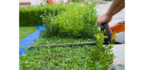 Hedge Trimmers