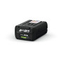 STIHL-ALLPRO-Battery-AP-30.1-48504006590-5-90x90